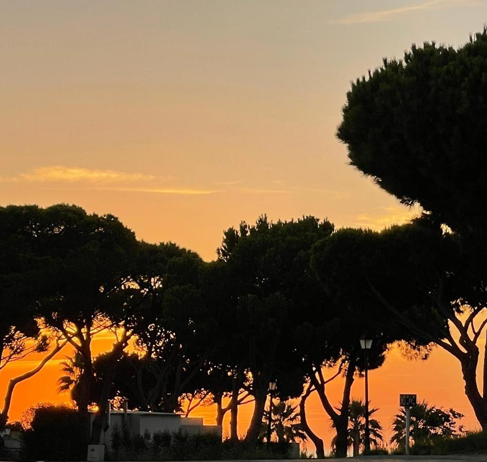 Scarlet'S Place - 1 Bed Victory Village Quinta Do Lago - Beach, Nature, Lakes Exteriör bild