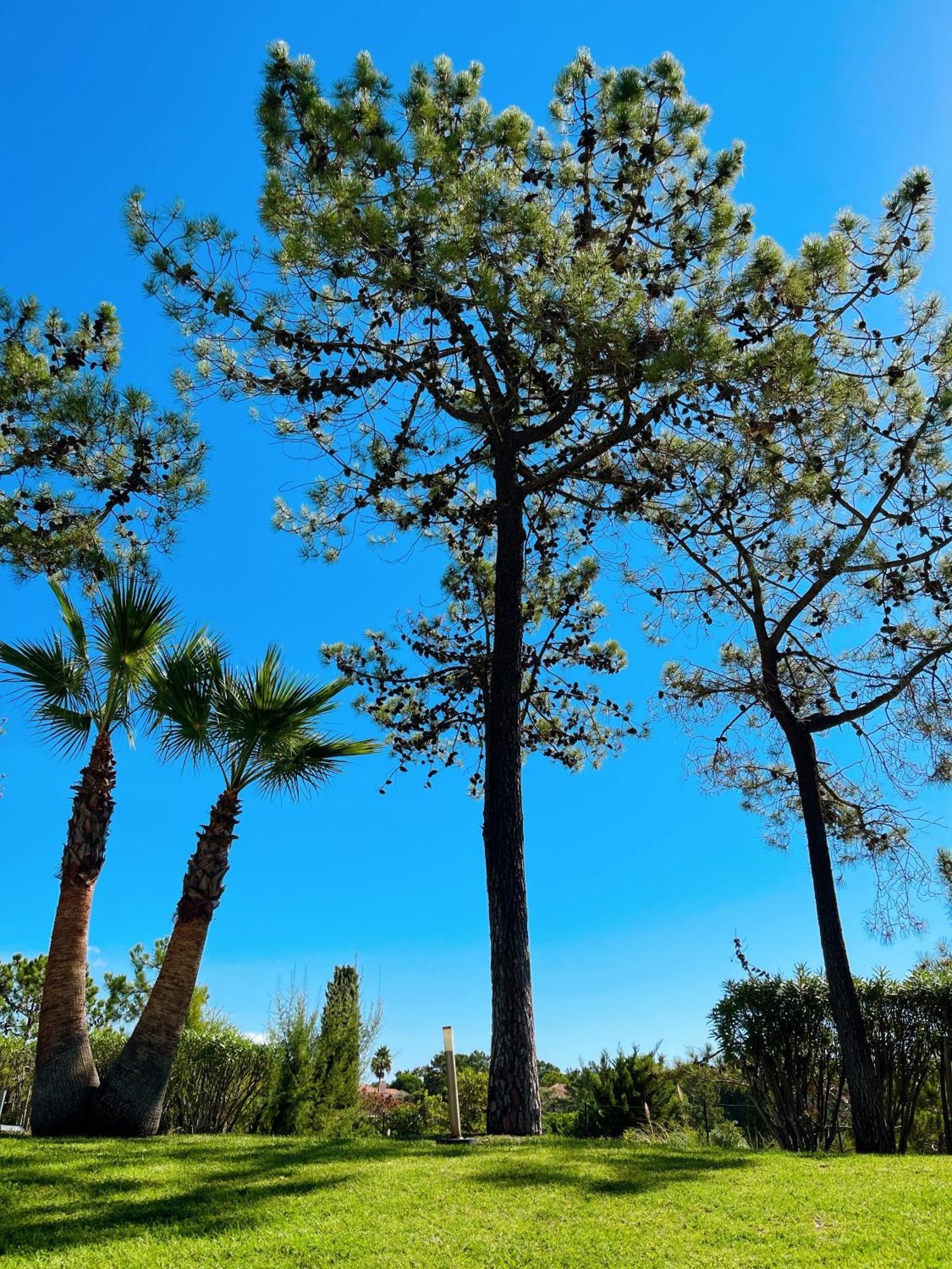 Scarlet'S Place - 1 Bed Victory Village Quinta Do Lago - Beach, Nature, Lakes Exteriör bild